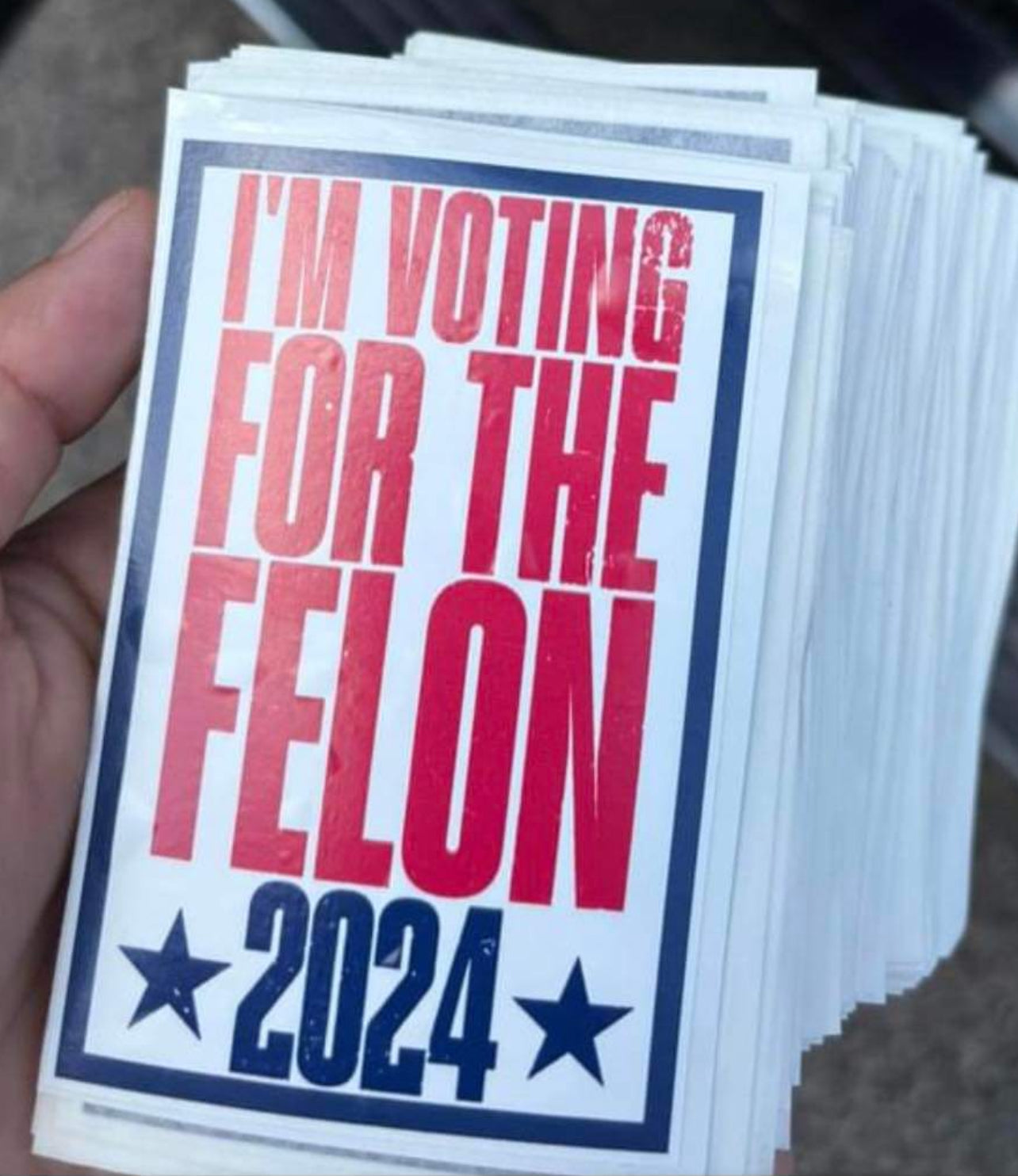 I’m Voting For The Felon-Car Decal