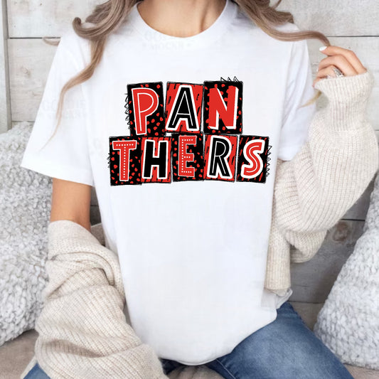 Panthers Tee or Sweatshirt